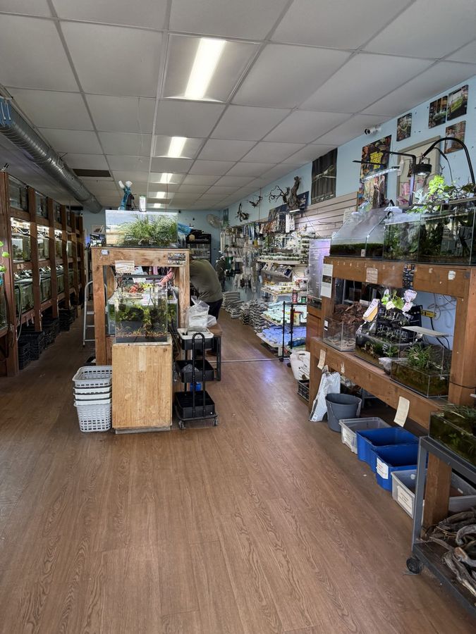 Inside the Pet Zone showroom: tanks, hardscape and plants along the aisle